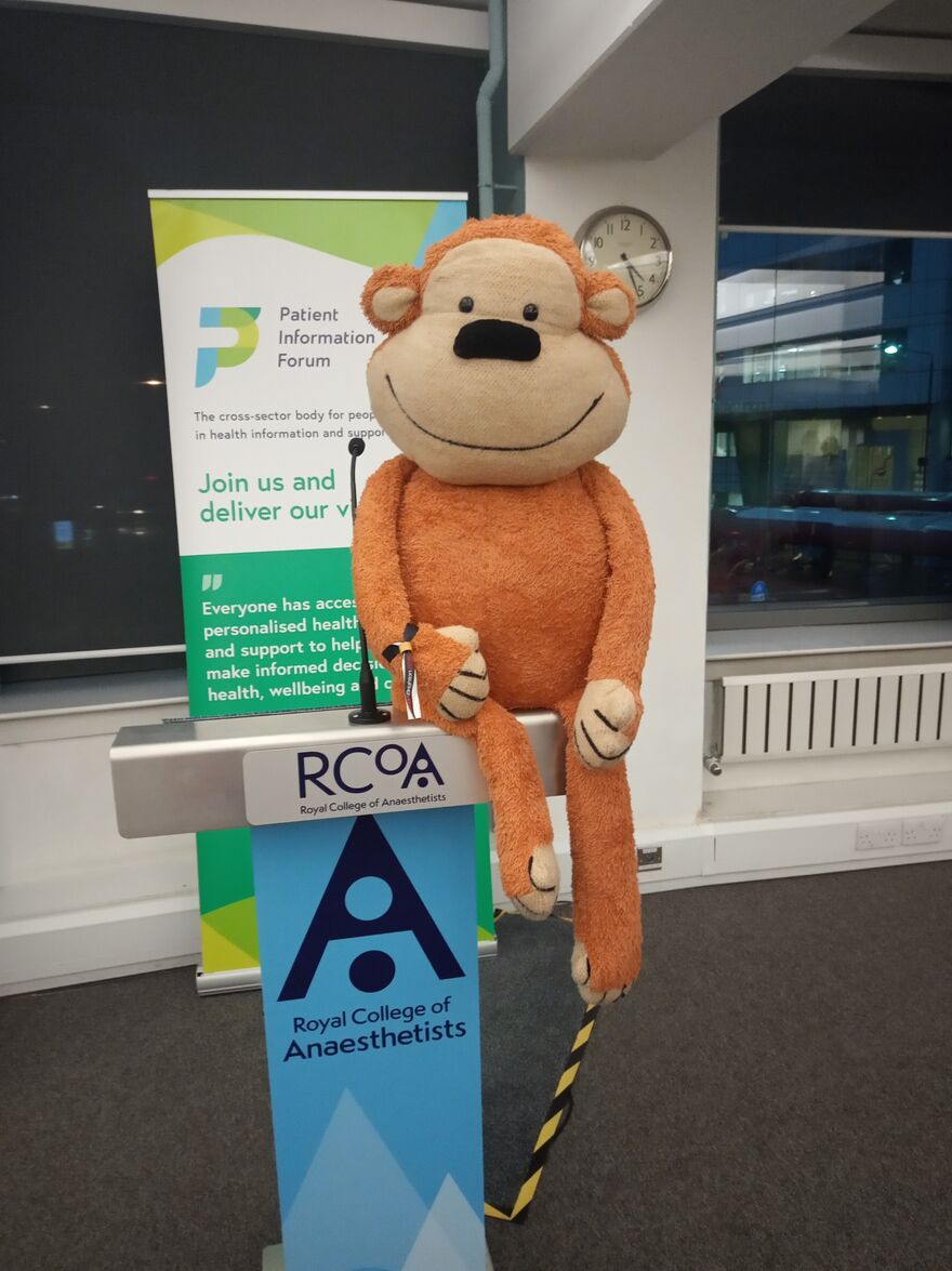 Monkey at our Children and Young People event